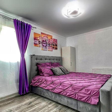 Luxor Ultra-Central Apartments Nagyszeben Kültér fotó